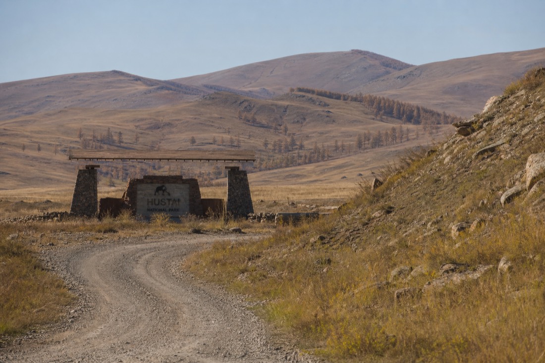 A dusty gravel track curving toward the Hustai park entrance sign with dry hills rising beyond it