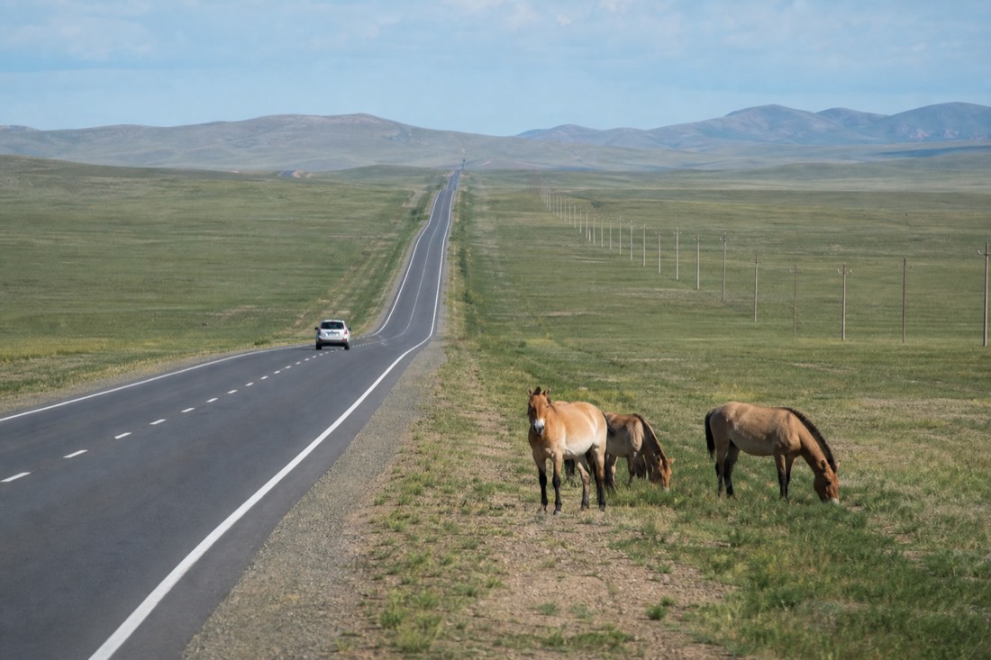 Wide two lane paved highway cutting straight across open Mongolian grassland under a bright midday sky, a single white SUV driving west toward distant low hills, telephone poles following the road