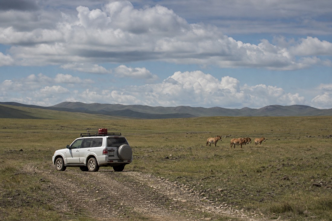 A rented white SUV with a spare fuel canister strapped to the roof rack parked on a gravel steppe track, open Mongolian grassland stretching to distant low hills under a wide sky