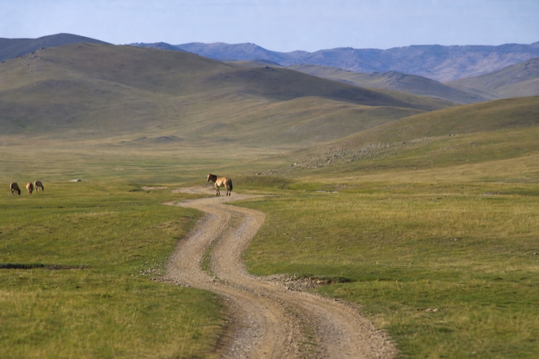 The single main gravel track curving west through the grassy valleys of Hustai