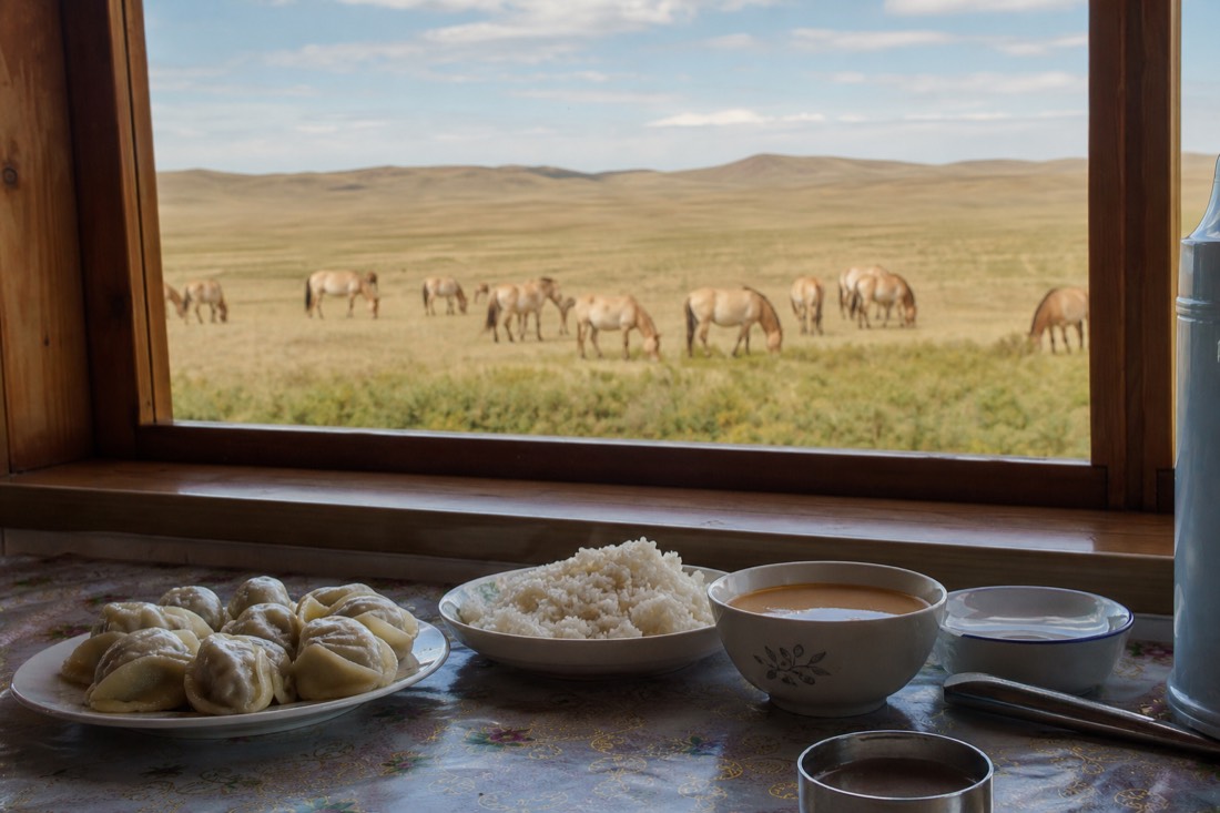 Local-style Mongolian lunch of dumplings, rice and milk tea laid out on a simple table during a Hustai day trip, with rolling steppe grassland visible through the window beyond