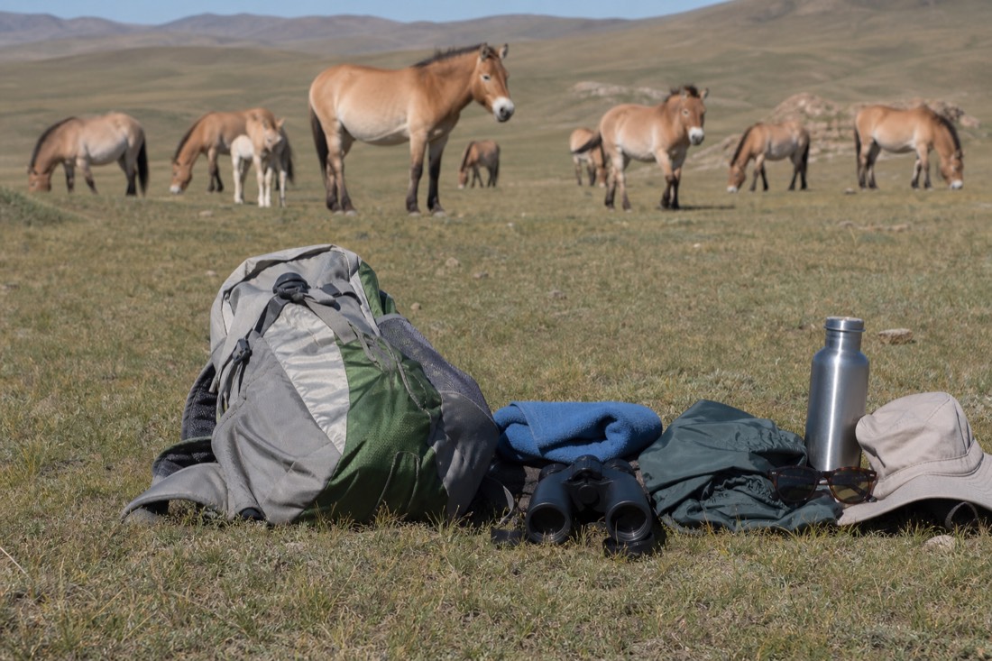 An open day pack laid on short steppe grass at Hustai with binoculars, a folded fleece, a windproof shell, a water bottle, a sun hat and sunglasses arranged beside it under strong sunlight