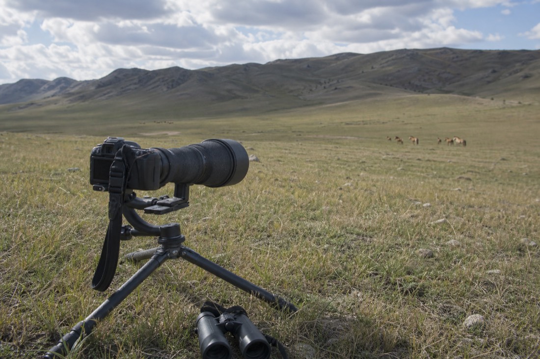 A camera with a long telephoto lens mounted on a small travel tripod pointed across open grassland toward a distant ridge, with binoculars resting beside it and Hustai National Park steppe visible in the background