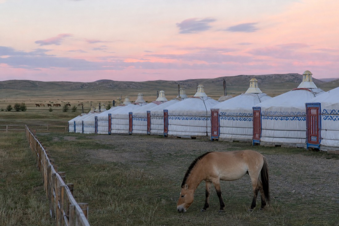 A row of white ger tents with painted wooden door frames at a Hustai tourist camp under a pastel dusk sky, with open steppe grassland stretching beyond the camp fence and no people visible